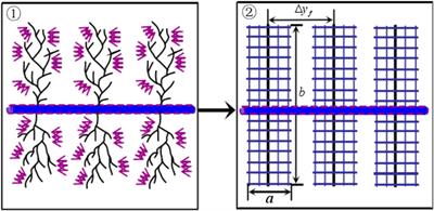 Productivity Prediction Model for Stimulated Reservoir Volume Fracturing in Tight Glutenite Reservoir Considering Fluid-Solid Coupling